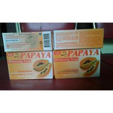 Sabun Papaya RDL