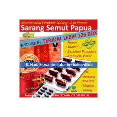 Sarang Semut Papua Obat Herbal Jantung, Batu Ginjal, Maag, Ambeien