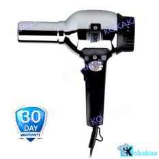 Sayota Lady Hair Dryer - Silver
