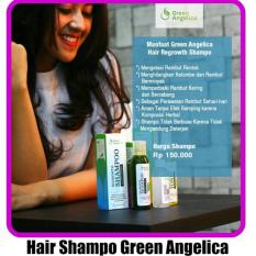 Shampo Herbal Untuk Rambut Rontok Green Angelica Buah Nisim Alami BPOM