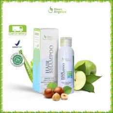 Shampo Untuk Rambut Rontok Berketombe Dan Berminyak Green Angelica Hair Shampo Shampo Rambut Cepat Panjang 100% Original Product Dan Halal