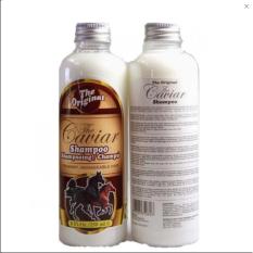 Shampoo Caviar / Shampo Caviar Original / Shampo Kuda caviar / Sampo Caviar BPOM / sampo untuk menguatkan dan menebalkan rambu