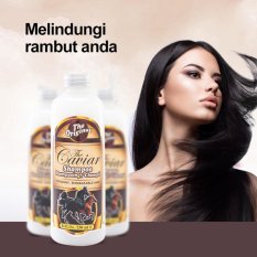 The Caviar Shampo Kuda - 250 ml - 4 Botol