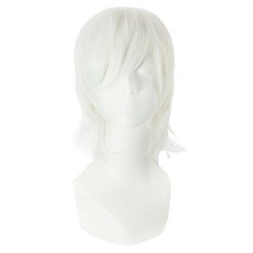 Rambut Lurus Pendek Wig Pria Wig Kawat Putih High Temperature Short-COSPLAY