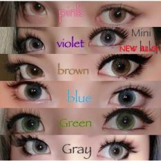Soflens NewBluk (no Ring) Plano Only