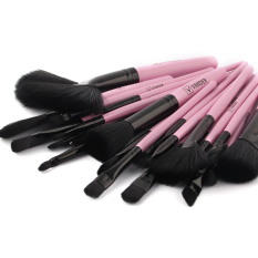 Pensil Alis Mata Kosmetik Makeup Brush Set Kit + Pouch Bag 24 PCS (Pink)