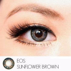 Softlens EOS Sunflower - Brown - Gratis Lens Case