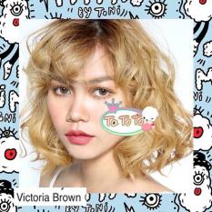 Softlens Mimi Toni VICTORIA / Soft Lens Mimi Tony VICTORIA Thailand