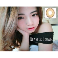 Softlens Newbluk - Brown + Free Lenscase