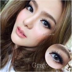 Softlens Newbluk Gray/ Newbluk Grey/Soflens Newbluk Grey/ Gratis Lenscase