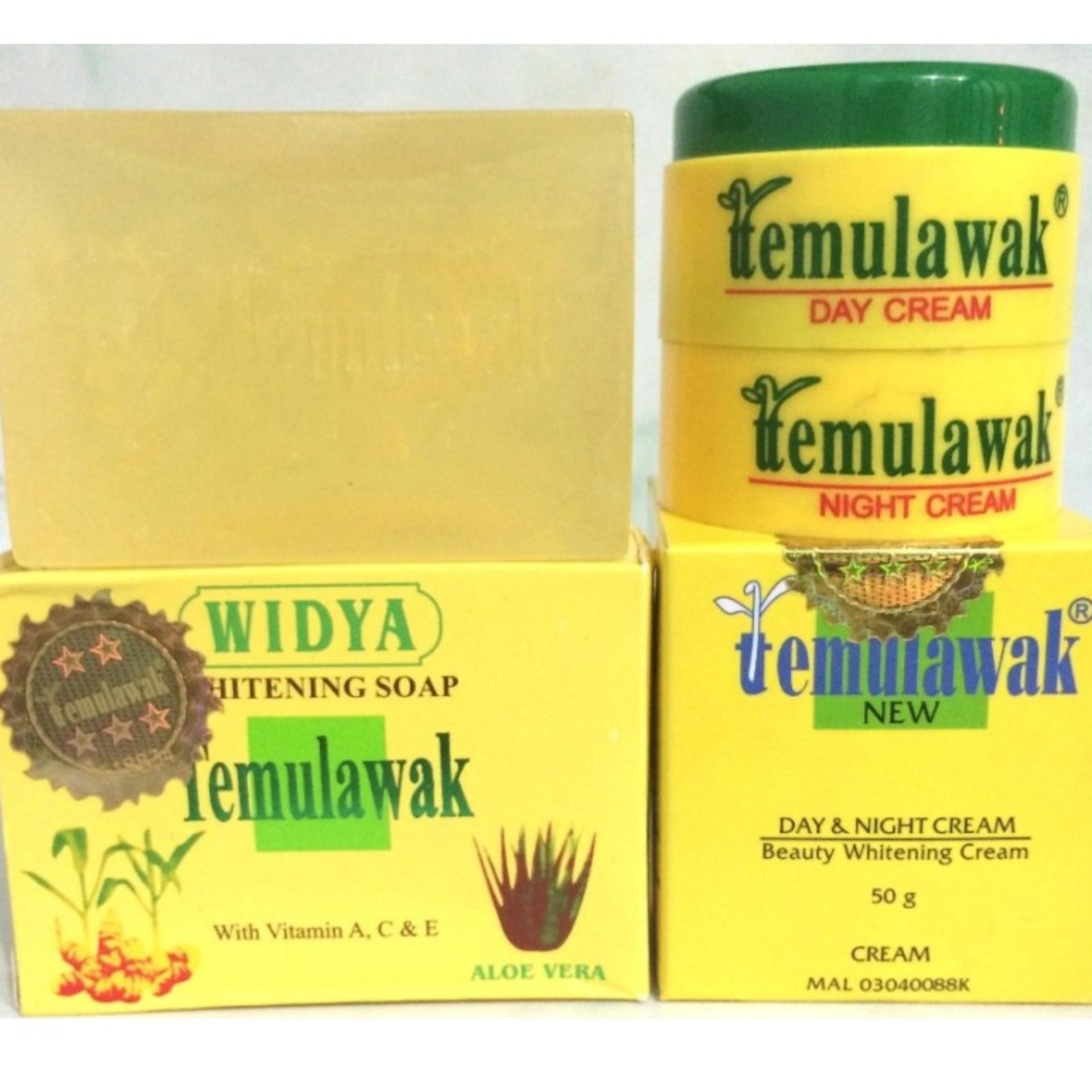 Temulawak Cream Day and Night Plus Sabun Widya Holo Emas