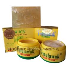 Temulawak Cream Day & Night Plus Sabun Widya Aloe Vera Hologram Emas Besar