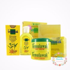 Temulawak Cream Original - Paket Cream Temulawak Cream, Sabun dan Toner