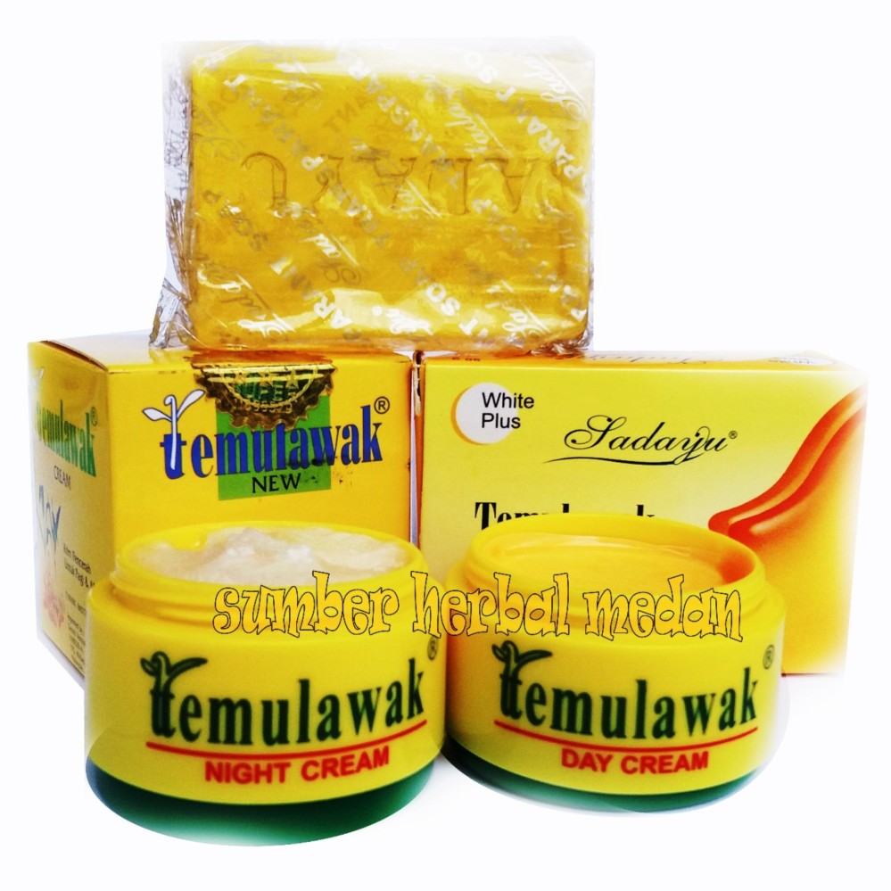 Temulawak Hologram Cream Day & Night +  Sabun Sedayu Kuning 