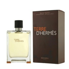 Terre D Hermes Parfume Pria 100ml
