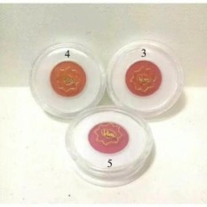 Viva Fin Touch Blush On 04