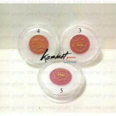 VIVA FIN Touch blush on