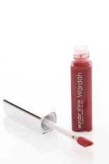 Wardah Wonder Shine 01 Cinnamon Red