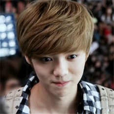 Wig Boys Wig Rambut Pendek Rambut Pria Tampan Fluffy dan Realistis-Intl