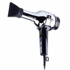 Wigo Hair Dryer Wigoionic 500 Watt - Hot And Cool - Stainless
