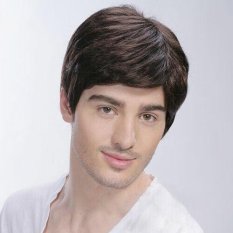 Wise Membeli Pria Pendek Wig Penuh 100% Alami Rambut Manusia Kecoklatan Hitam Rambut Palsu (International)-International