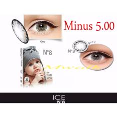 X2 Ice Nude N8 Softlens - Minus 5.00- Gray + Gratis Lenscase