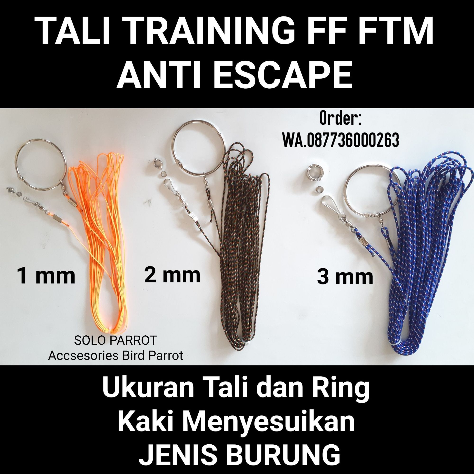 Tali Training Ff Ftm Burung Parrot Lazada Indonesia