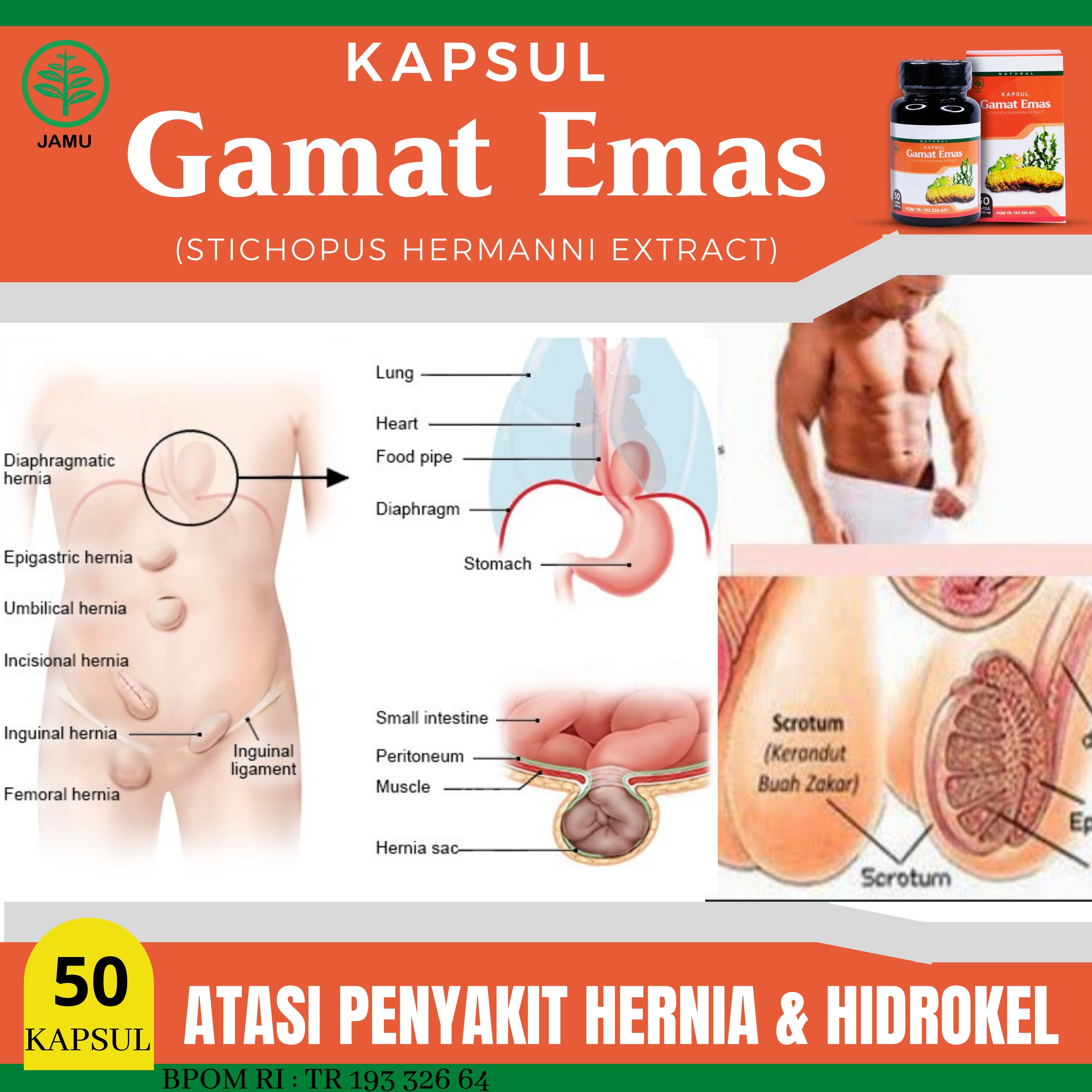 Jual obat buah maja Terbaru  Lazada.co.id