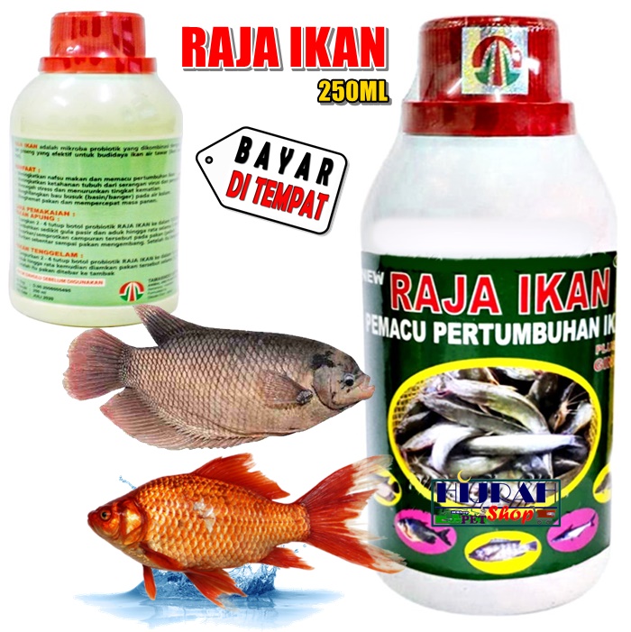 Obat Ikan Vitamin Ikan Multivitamin Ikan Lele Bawal Nila Patin Ikan Mas Ikan Gurame Mujair Semua Jenis Ikan Air Tawar Pemacu Pertumbuhan Ikan Penambah Nafsu Makan Ikan Raja Ikan Kemasan Botol