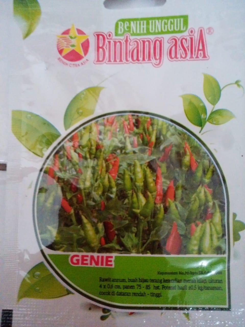Benih/Bibit Cabe Rawit Hijau Genie (Bintang Asia)