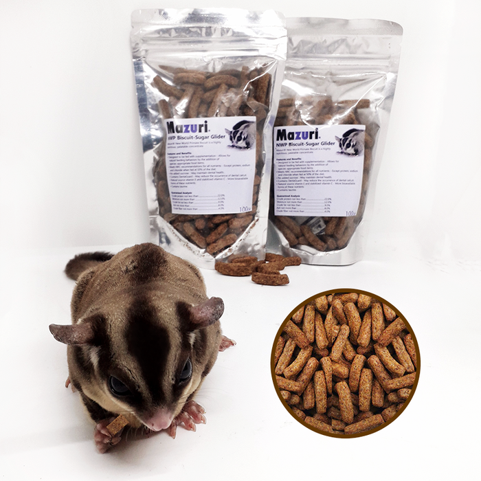 mazuri sugar glider