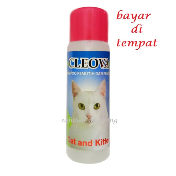 SAMPO KUCING BULU PUTIH WHITE SOLID CLEOVA - NAYLA SHOPPING 