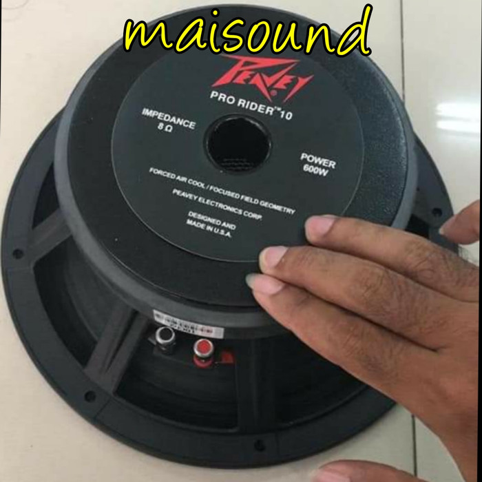 speaker peavey 10 inch