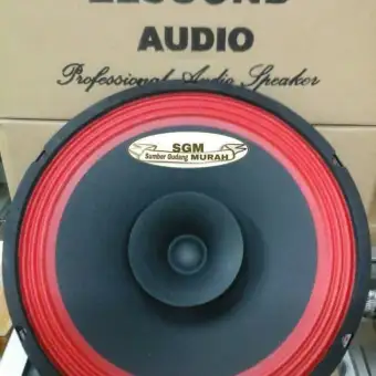 speaker elsound 10 inch