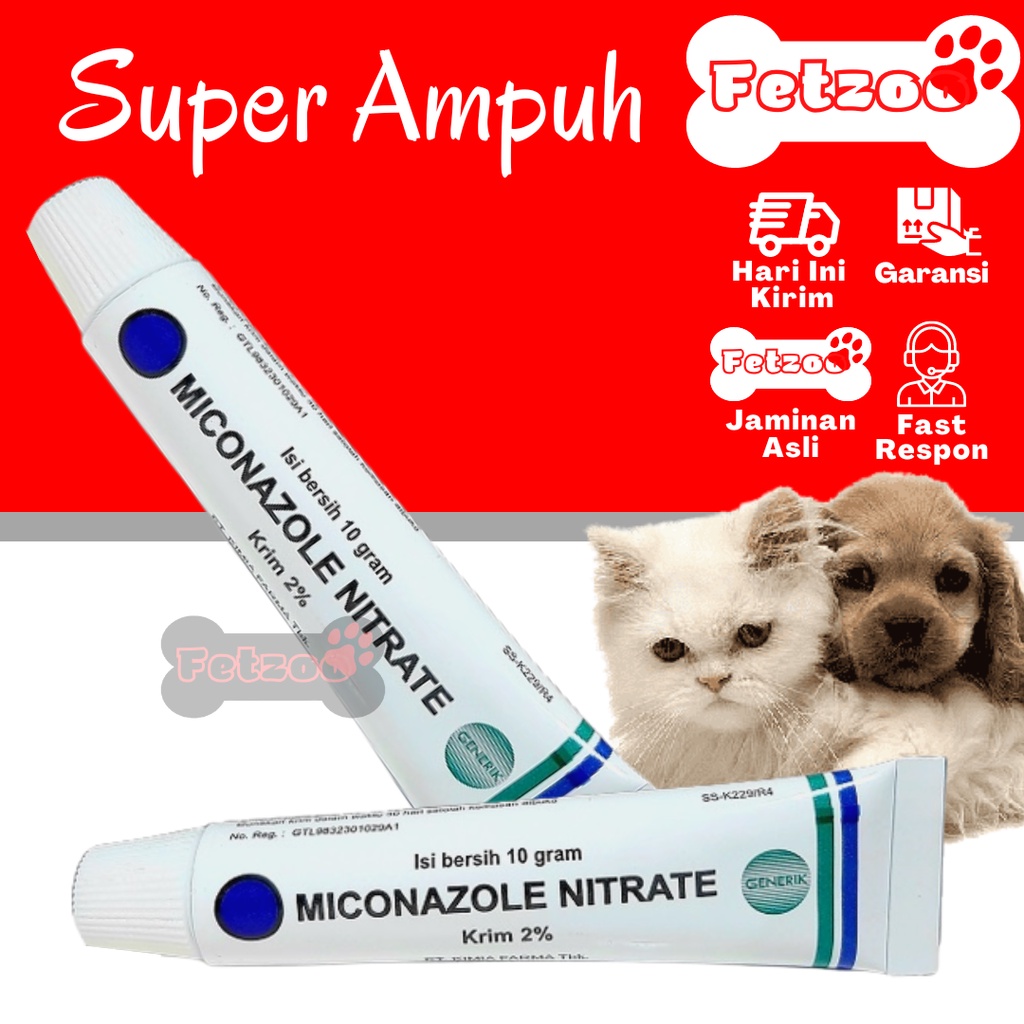 Obat Salep Jamur Dan Infeksi Kulit Anjing Kucing FEZTOO | Lazada Indonesia