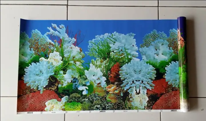 Wallpaper Background Gambar Latar Belakang Aquarium Tinggi 40cm Panjang 1 Meter Lazada Indonesia
