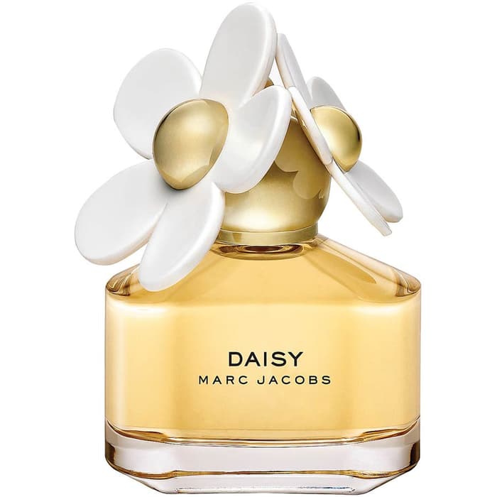 coach daisy perfume