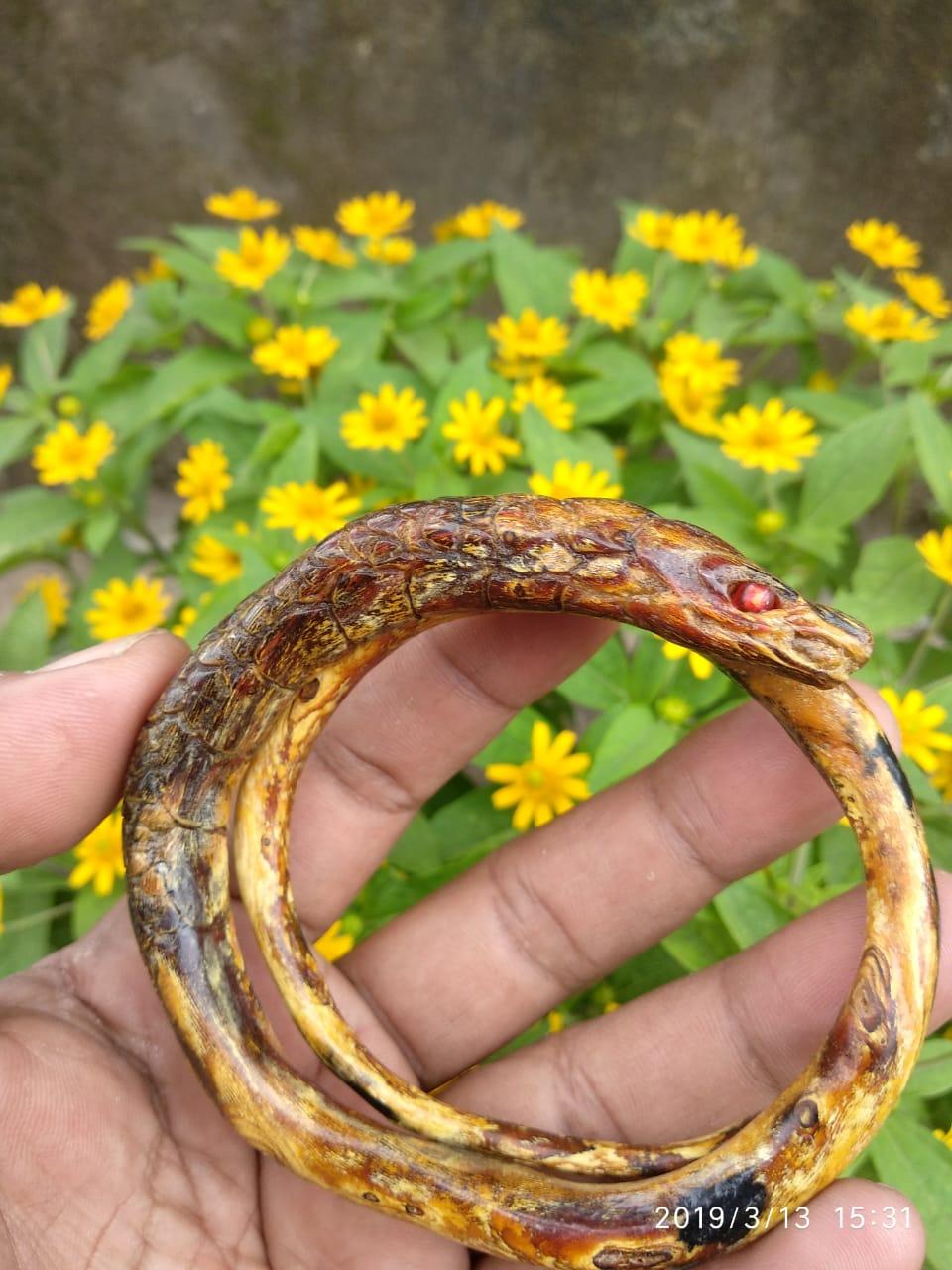 Gelang Akar Bahar Brahma Ukir Ular Piton Rg 59 Lazada Indonesia