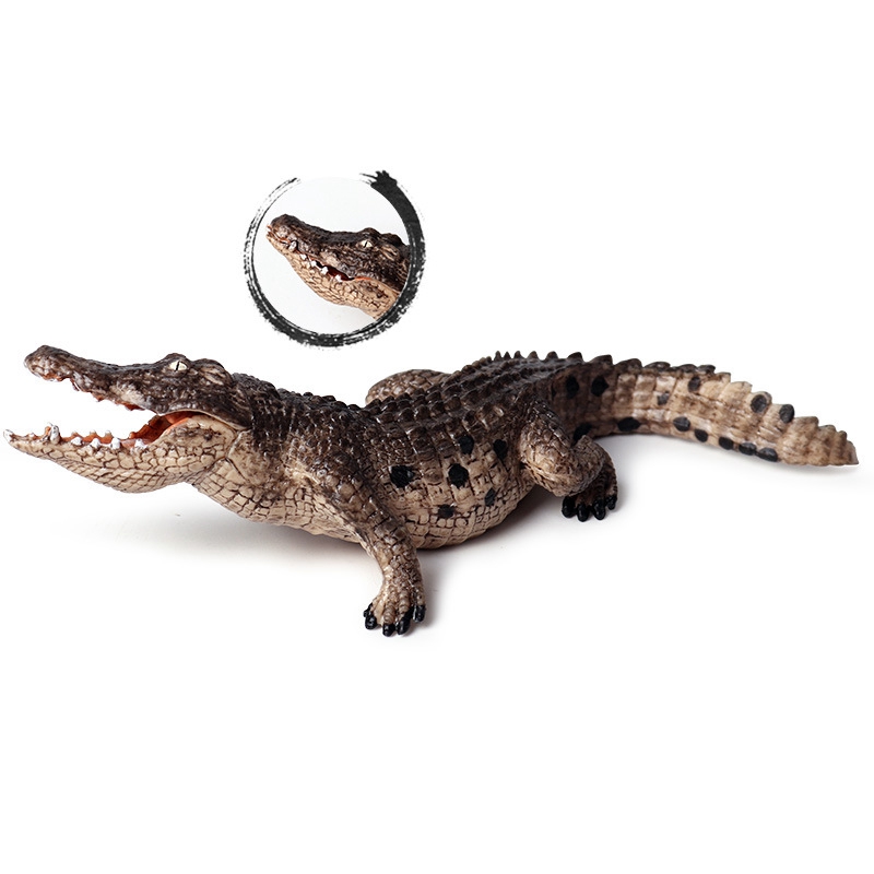 Simulation Wild Animal Model Decoration Crocodile Nile Crocodile