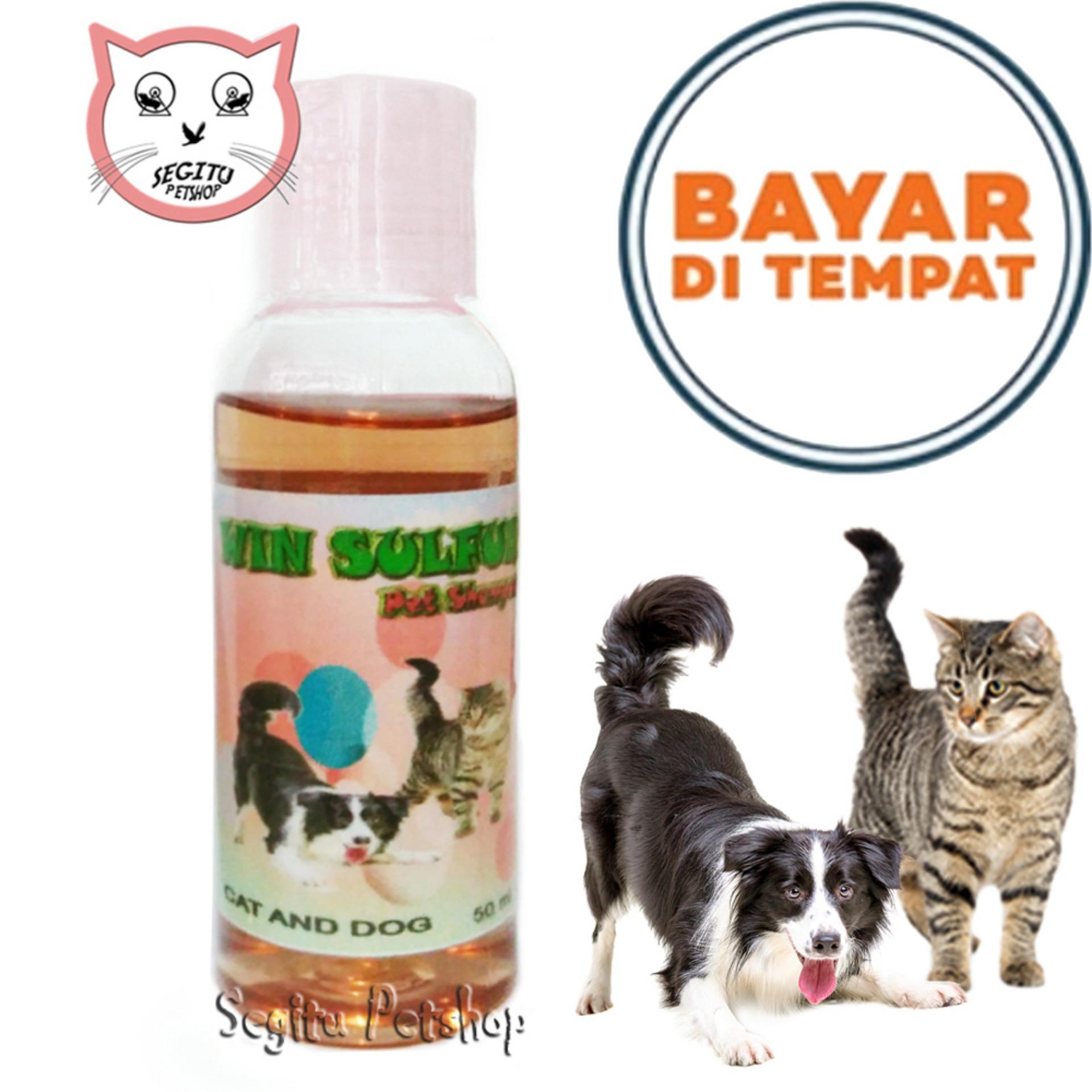 Sampo Anjing Lazada Co Id