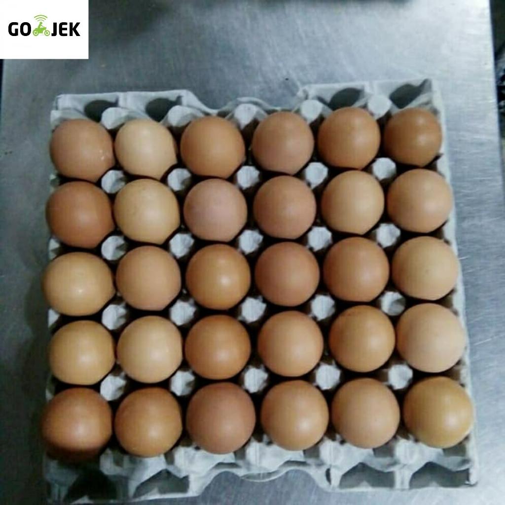 Telur Ayam Negeri Negeri Omega Isi 30 Butirr By Sajira Farm.