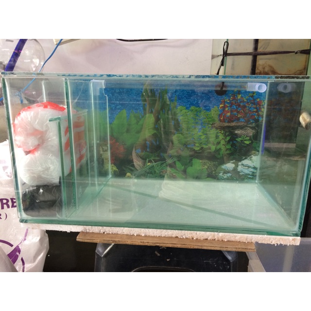 770 Dekorasi Aquarium Filter Samping HD Terbaru