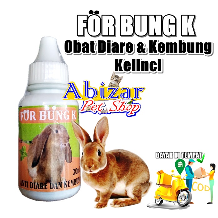 Pertolongan Pertama pada Kelinci Mencret