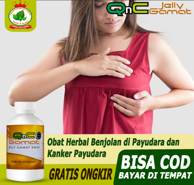 Jual Obat Payudara Menyusui Terbaru Lazada Co Id
