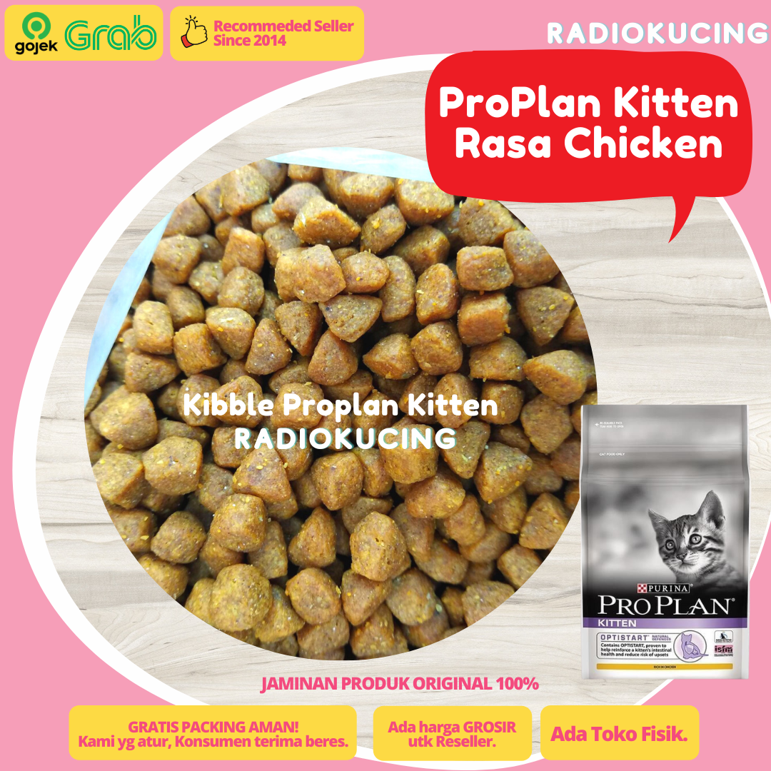 kibble proplan kitten