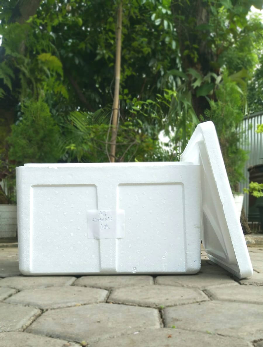 styrofoam-box-isi-10-kg-sterofoam-box-ag-ukuran-49x38x32-cm-stero