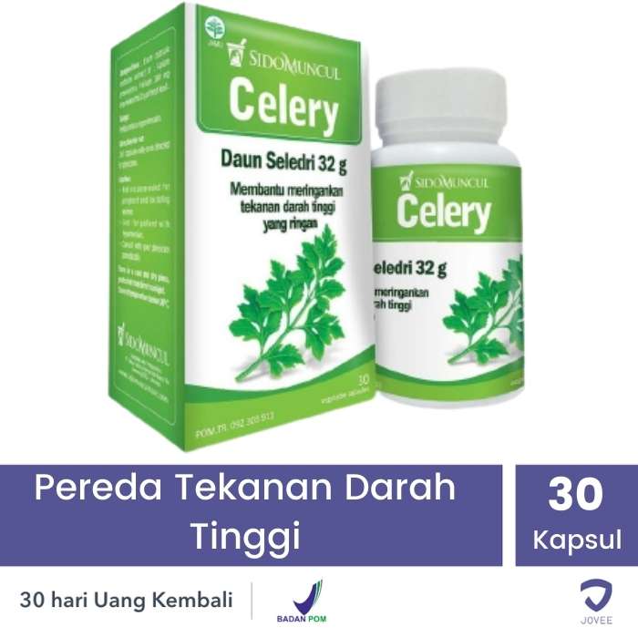 SIDOMUNCUL HERBAL CELERY - DAUN SELEDRI - Obat Herbal Pereda Tekanan Darah  Tinggi - JOVEE | Lazada Indonesia