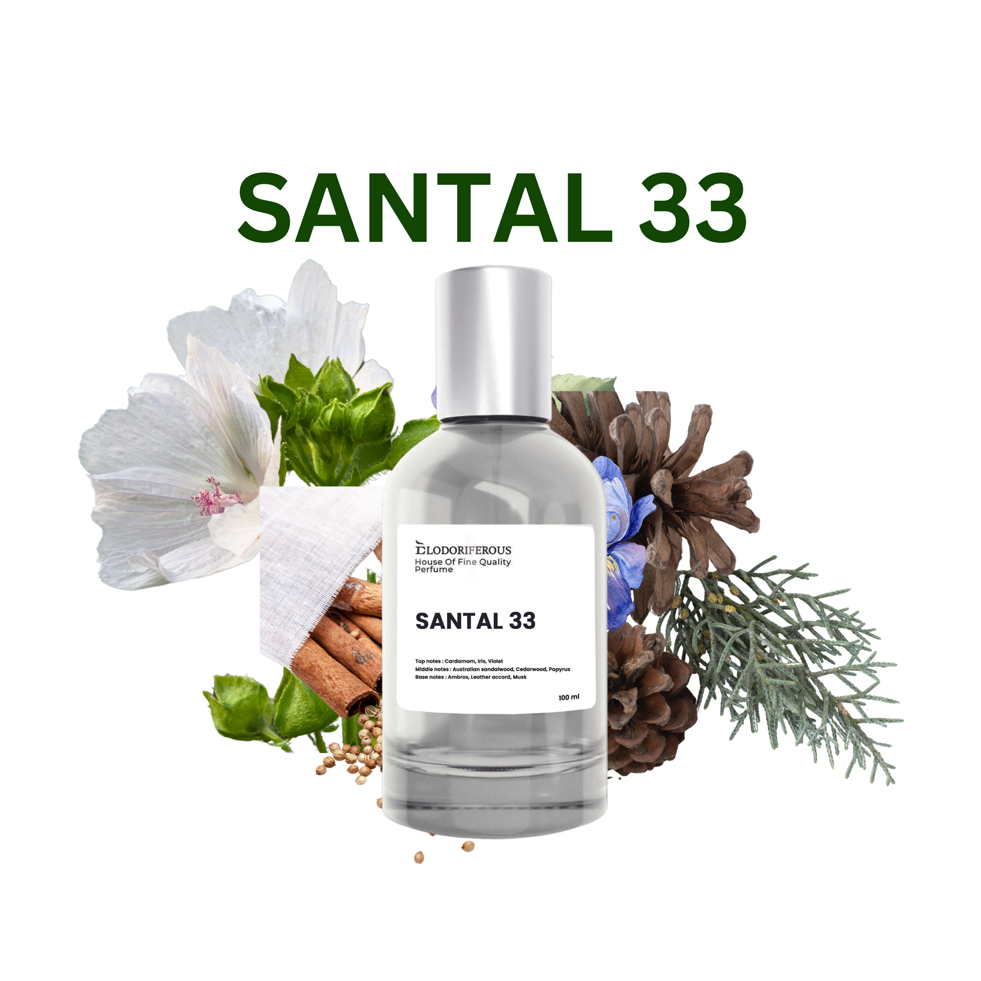 Base Notes Santal 33 Scent Notes Smell Like Best Santal 33 Clone