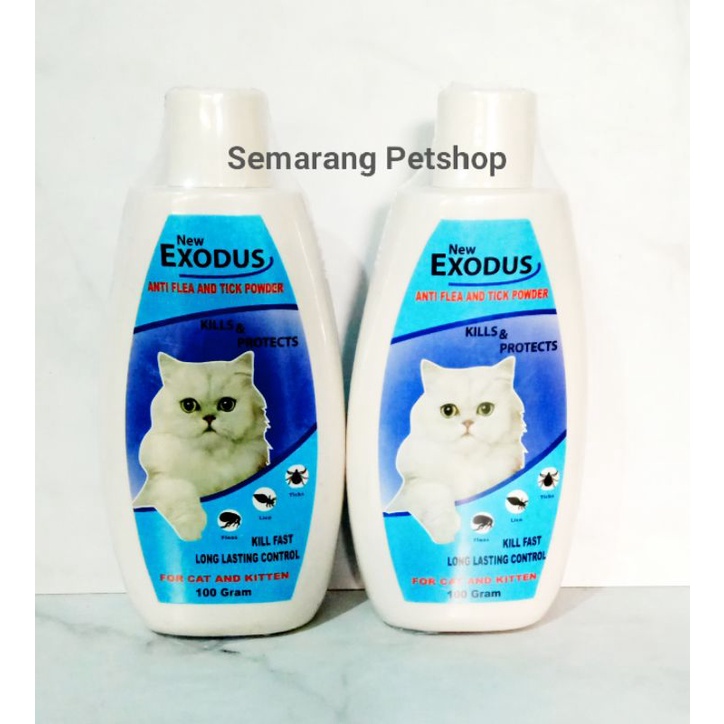 obat kutu kucing