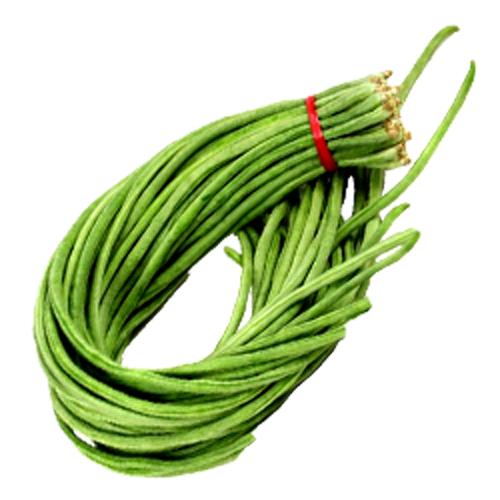 Amefurashi 150 Bibit / Benih Sayur Kacang Panjang Long Bean Vegetable